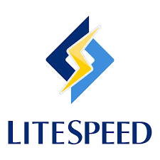 lite speed web server