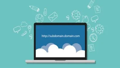 تصویر از اتصال ساب دامین هاست دایرکت ادمین به هاست دانلود