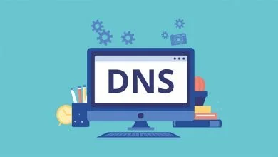 تصویر از آموزش تعریف رکورد DNS در دایرکت ادمین