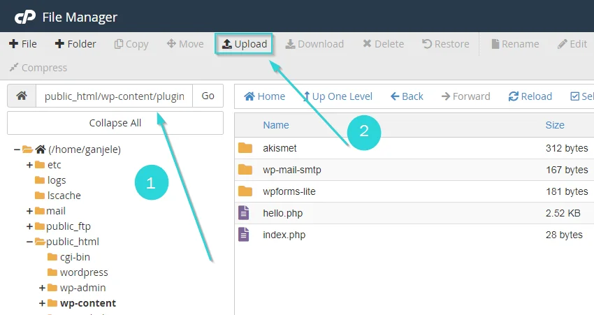 آپلود مردن فایل پلاگین