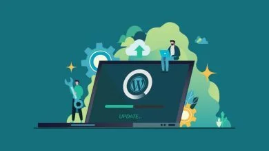 تصویر از آموزش نحوه آپدیت دستی وردپرس در سی پنل و دایرکت ادمین