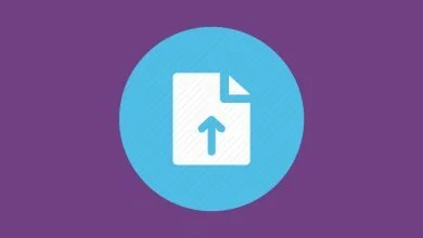 تصویر از آموزش آپلود فایل در پلسک (Plesk)